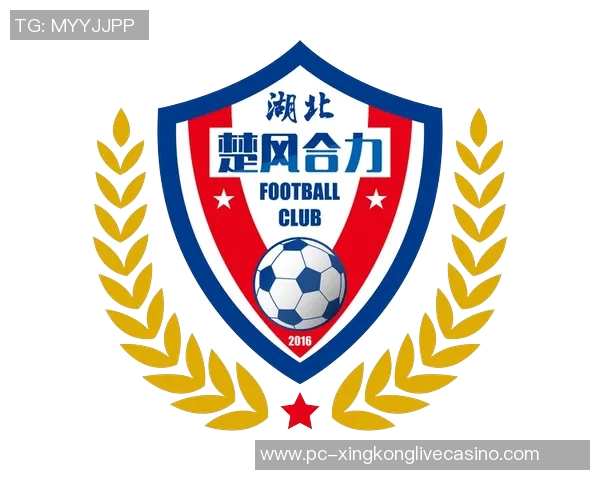 探索足球队队徽的设计艺术与文化象征意义解析 探索足球队队徽的设计艺术与文化象征意义解析