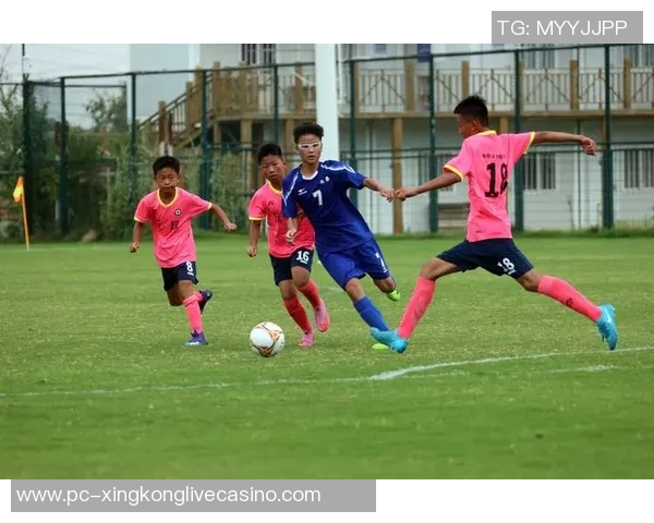 足球凸:探索这项运动背后的激情与文化,感受球场上的无限魅力与团队精神 足球凸:探索这项运动背后的激情与文化,感受球场上的无限魅力与团队精神